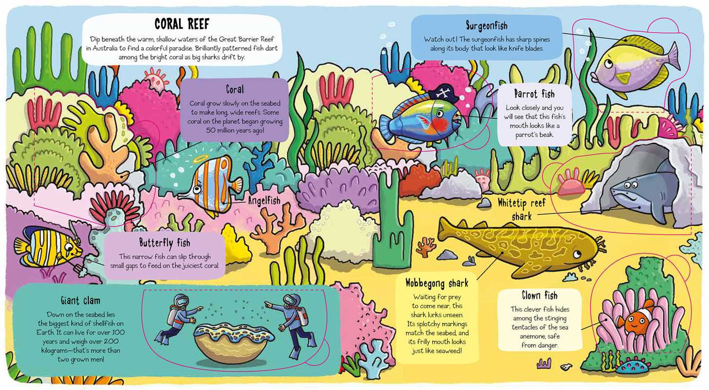 Little Explorers: Under the Sea by Little Bee Books