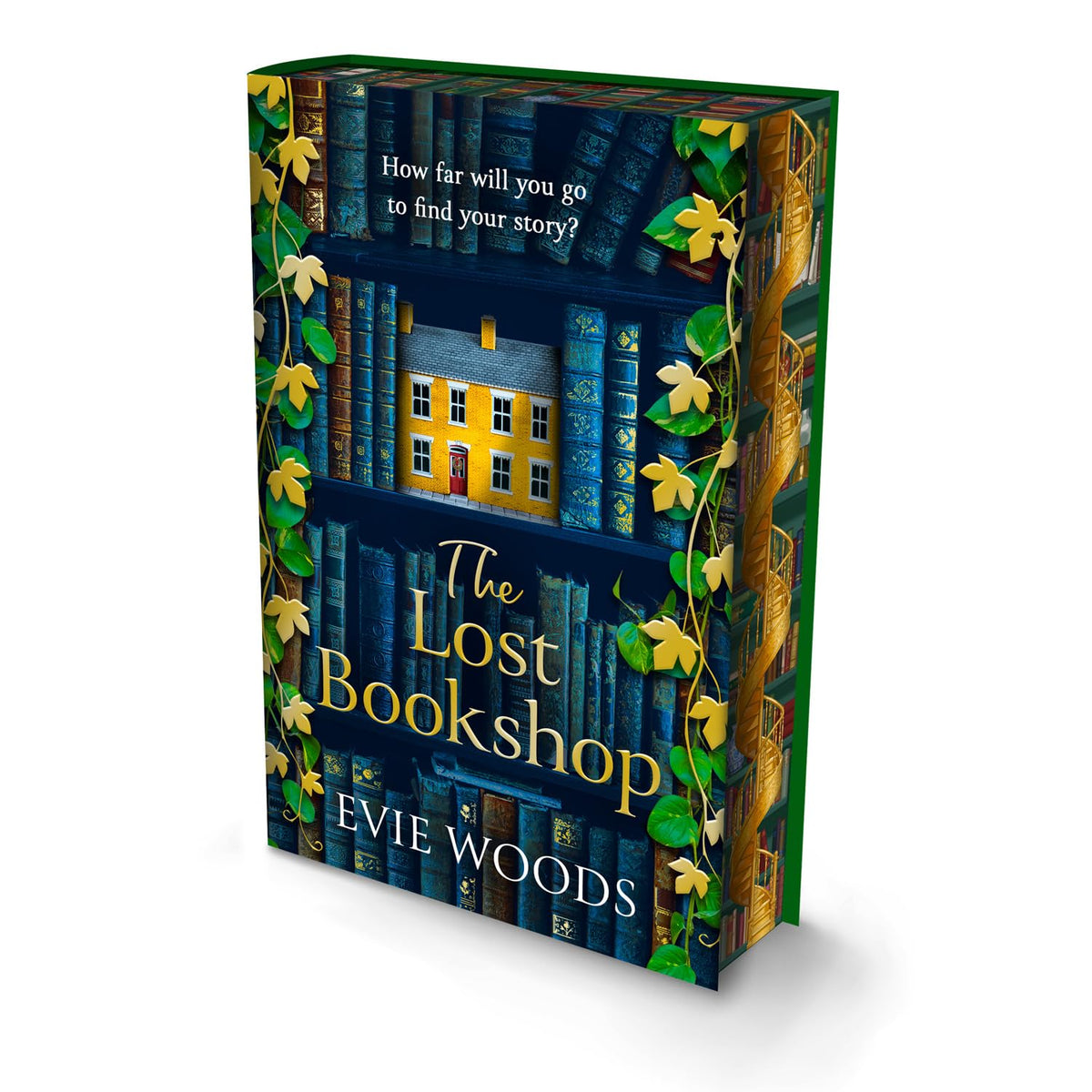 The Lost Bookshop Deluxe Edition