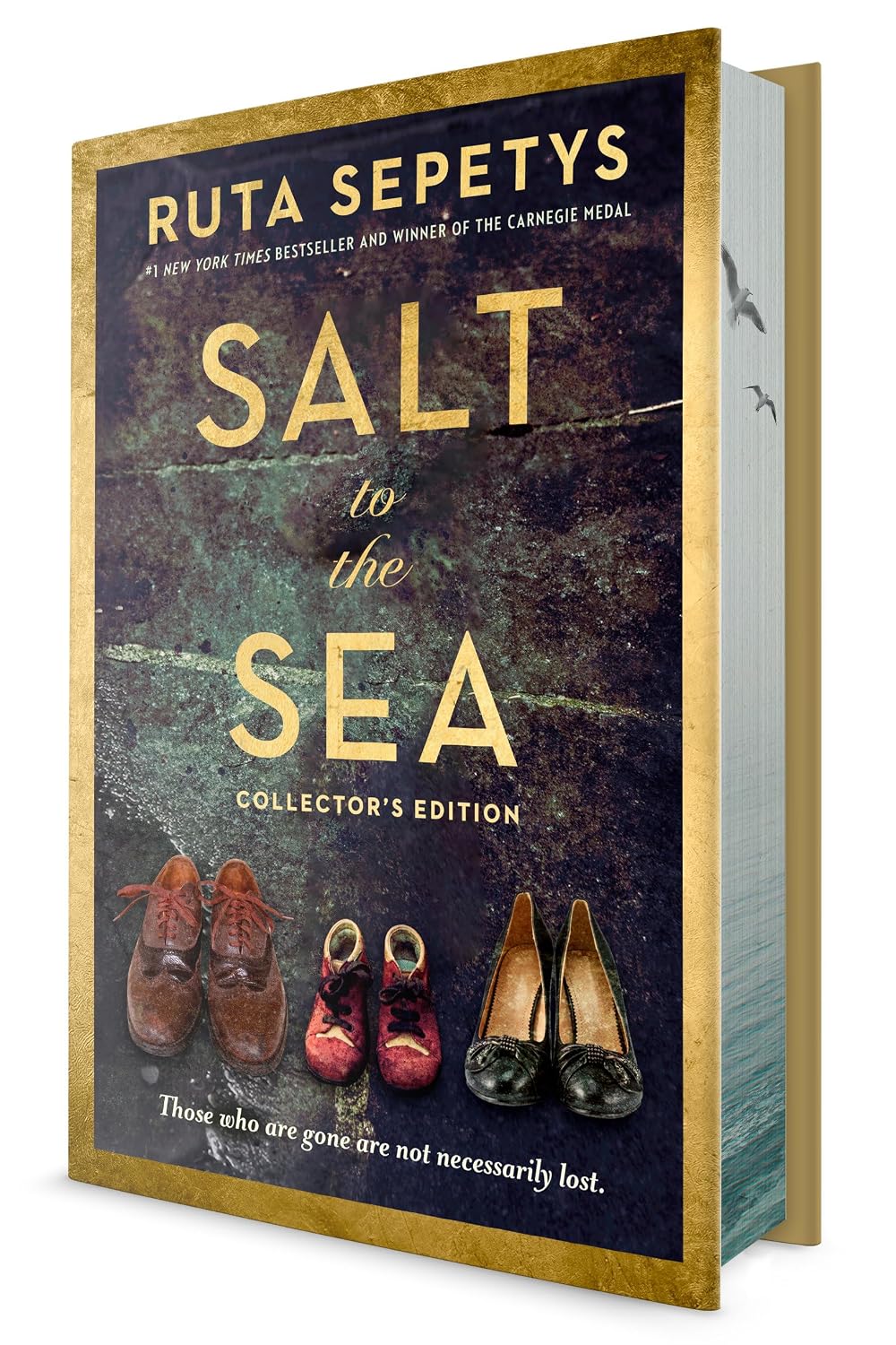 Salt to the Sea Collector's Edition