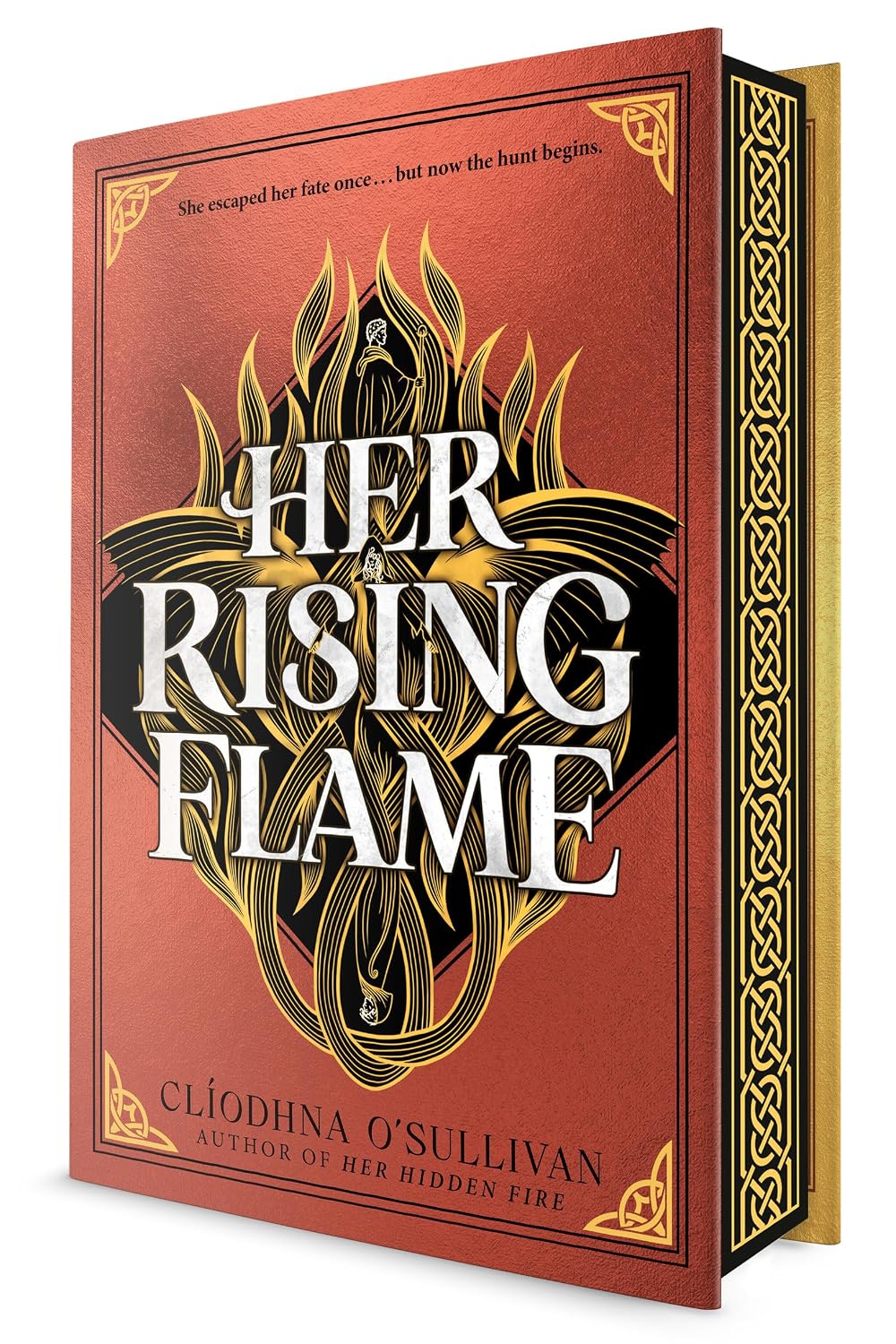 Her Rising Flame (Her Hidden Fire)