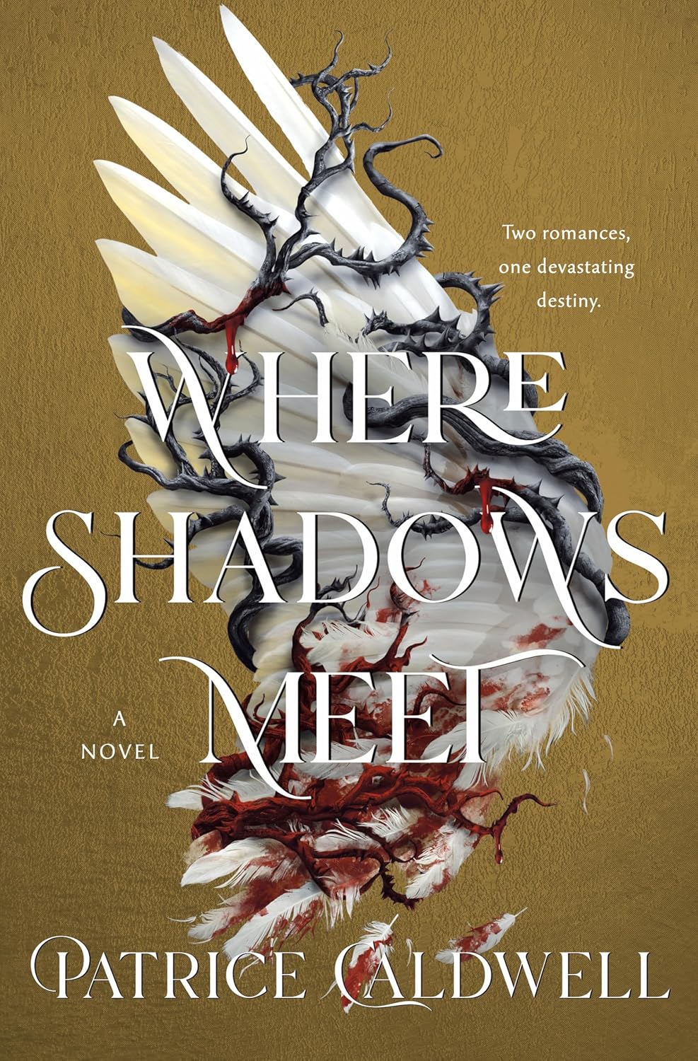 Where Shadows Meet