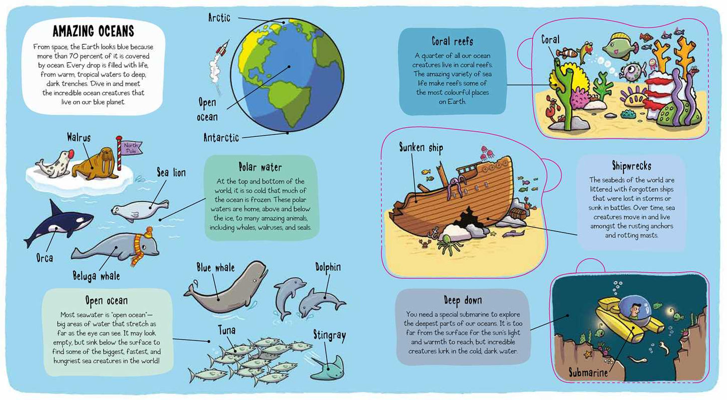 Little Explorers: Under the Sea by Little Bee Books