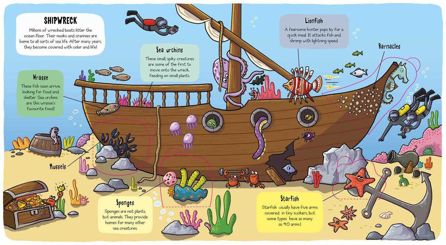 Little Explorers: Under the Sea by Little Bee Books