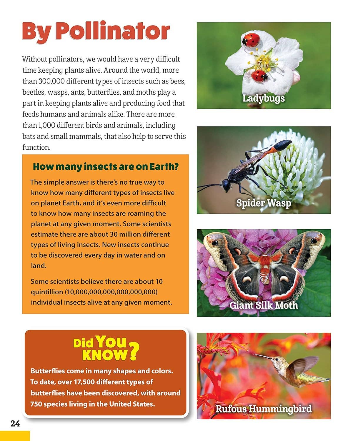 World of Pollinators - A Guide for Explorer's of All Ages