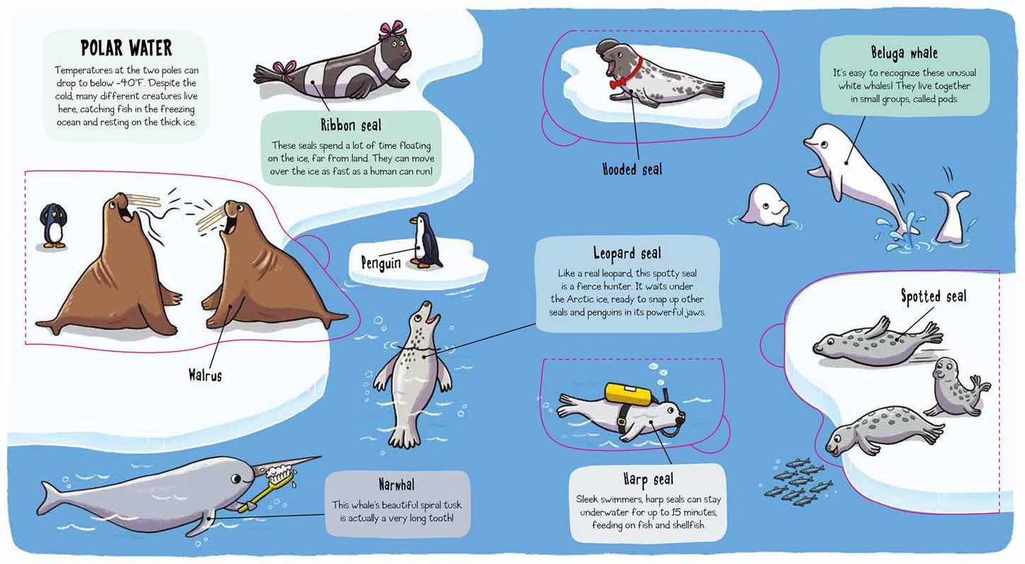 Little Explorers: Under the Sea by Little Bee Books