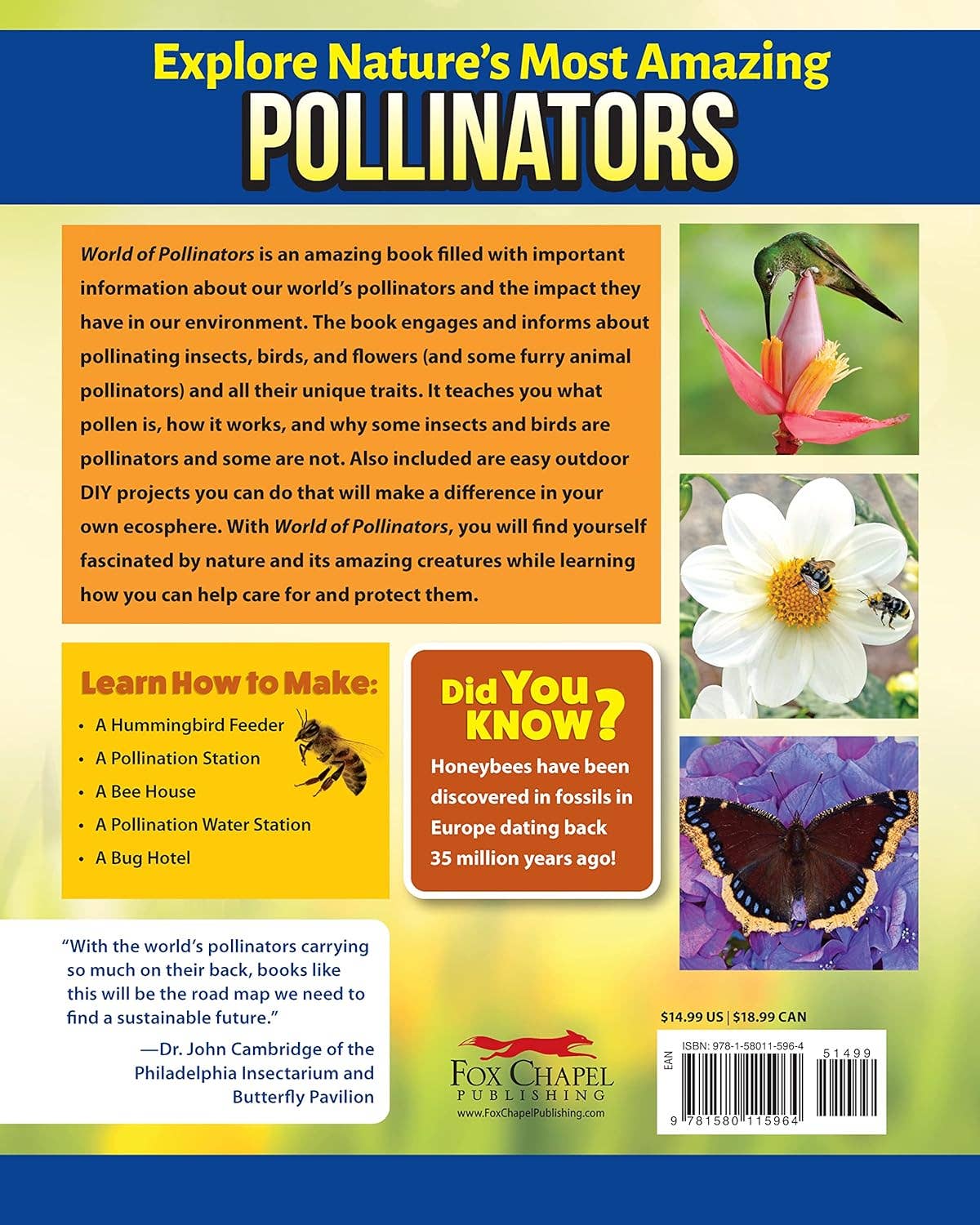 World of Pollinators - A Guide for Explorer's of All Ages