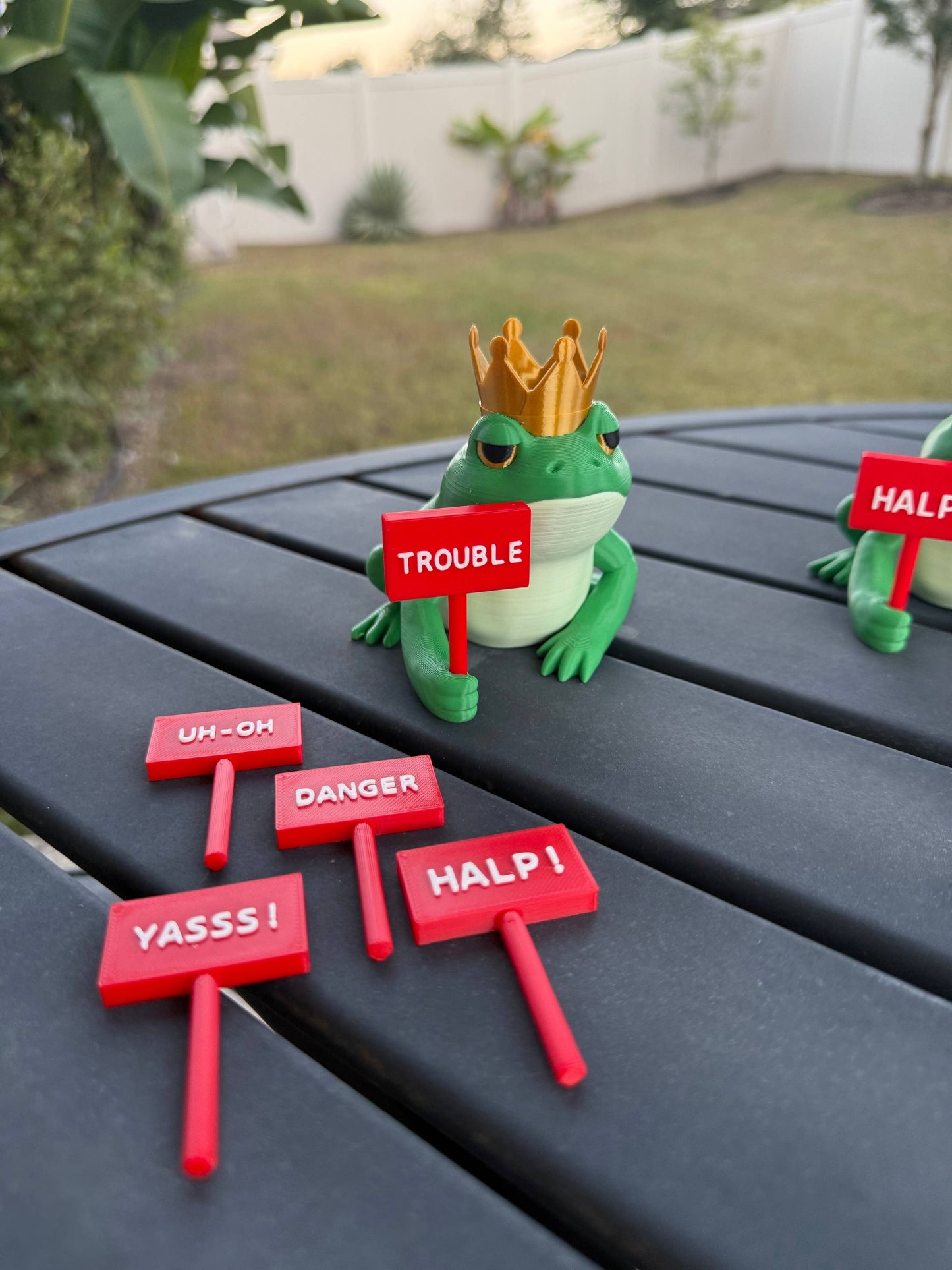 Crowned Frog Bookshelf Decor Interchangeable Signs