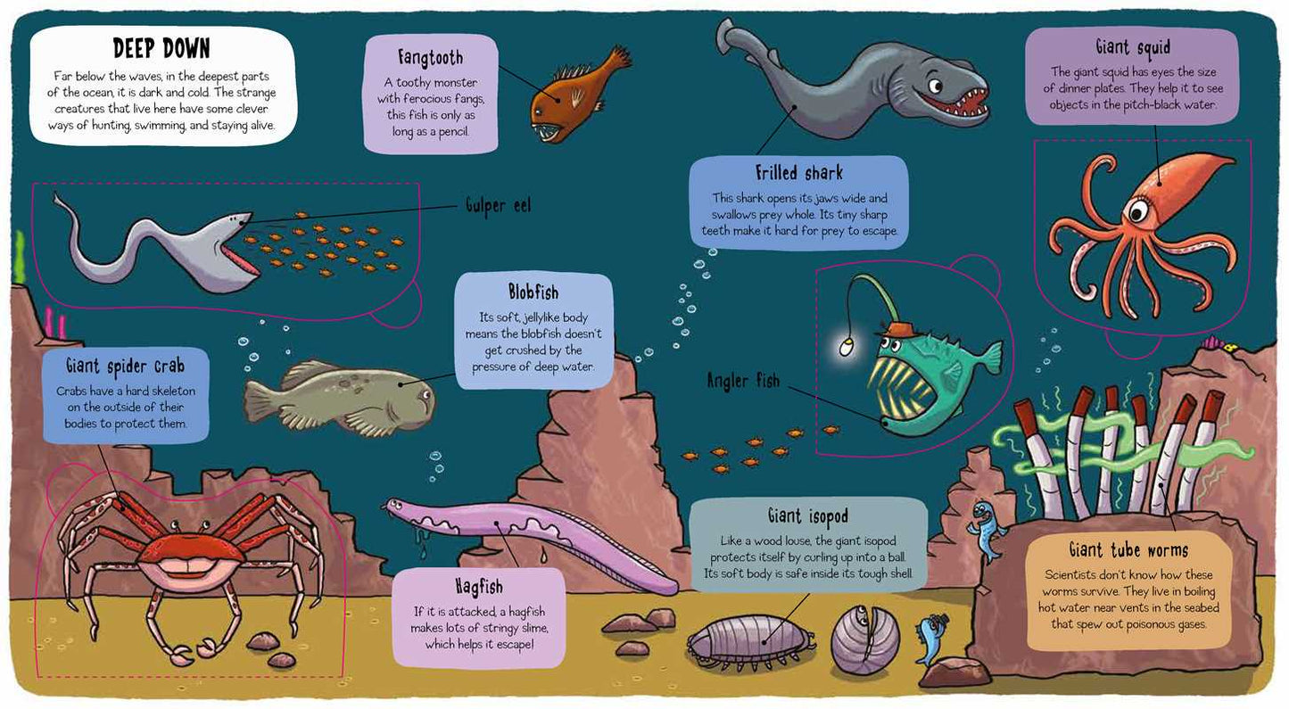 Little Explorers: Under the Sea by Little Bee Books