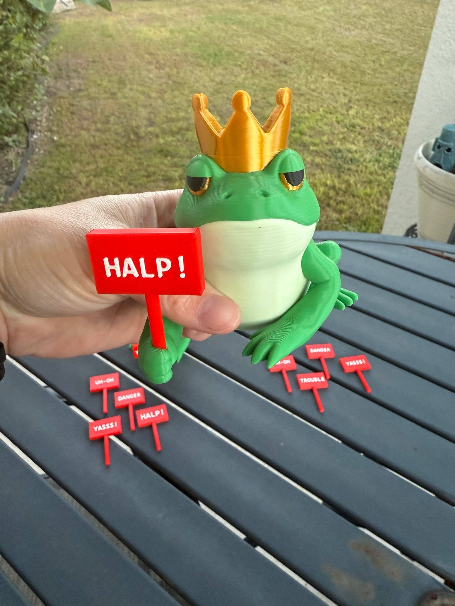 Crowned Frog Bookshelf Decor Interchangeable Signs
