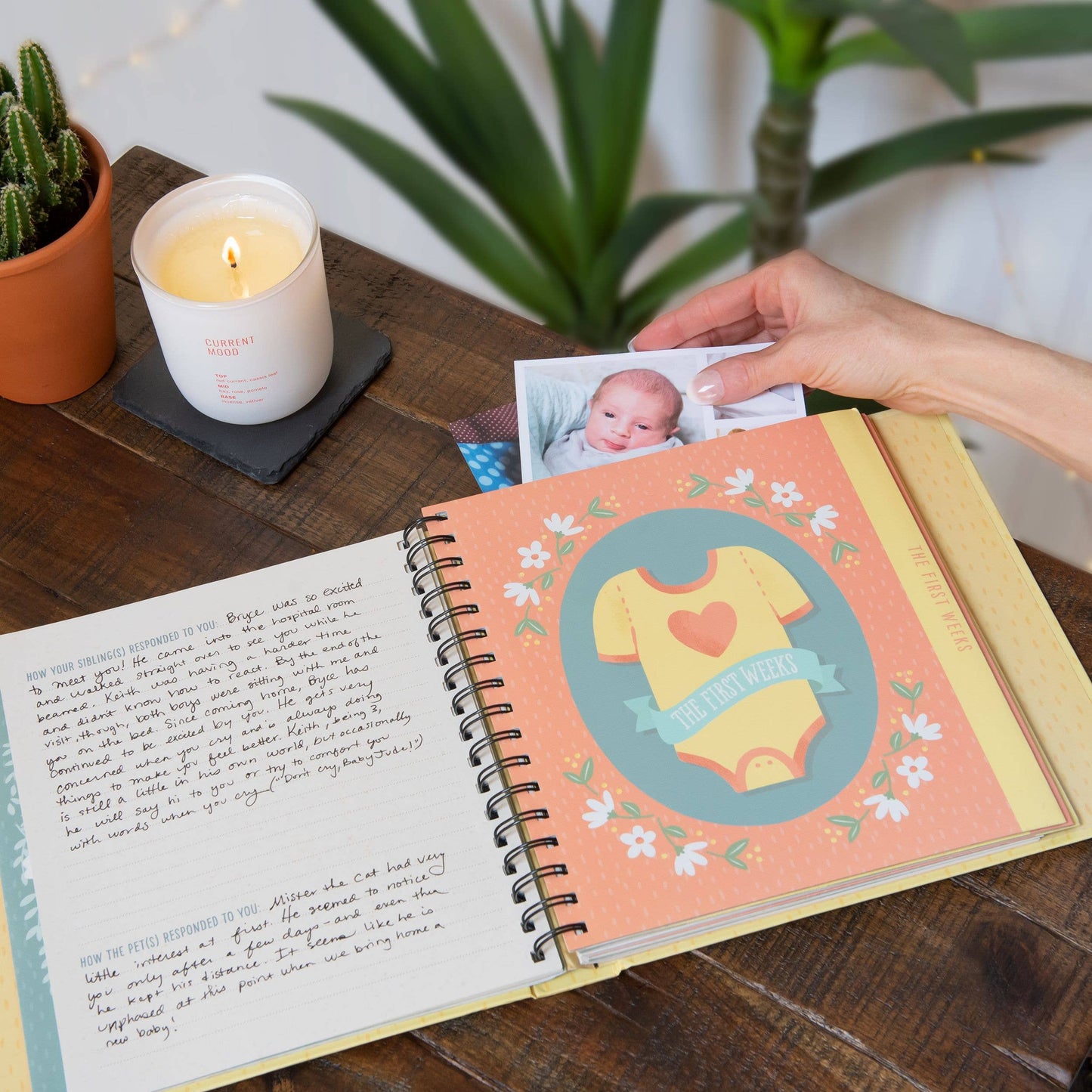 Guided Journal - Bundle of Joy!