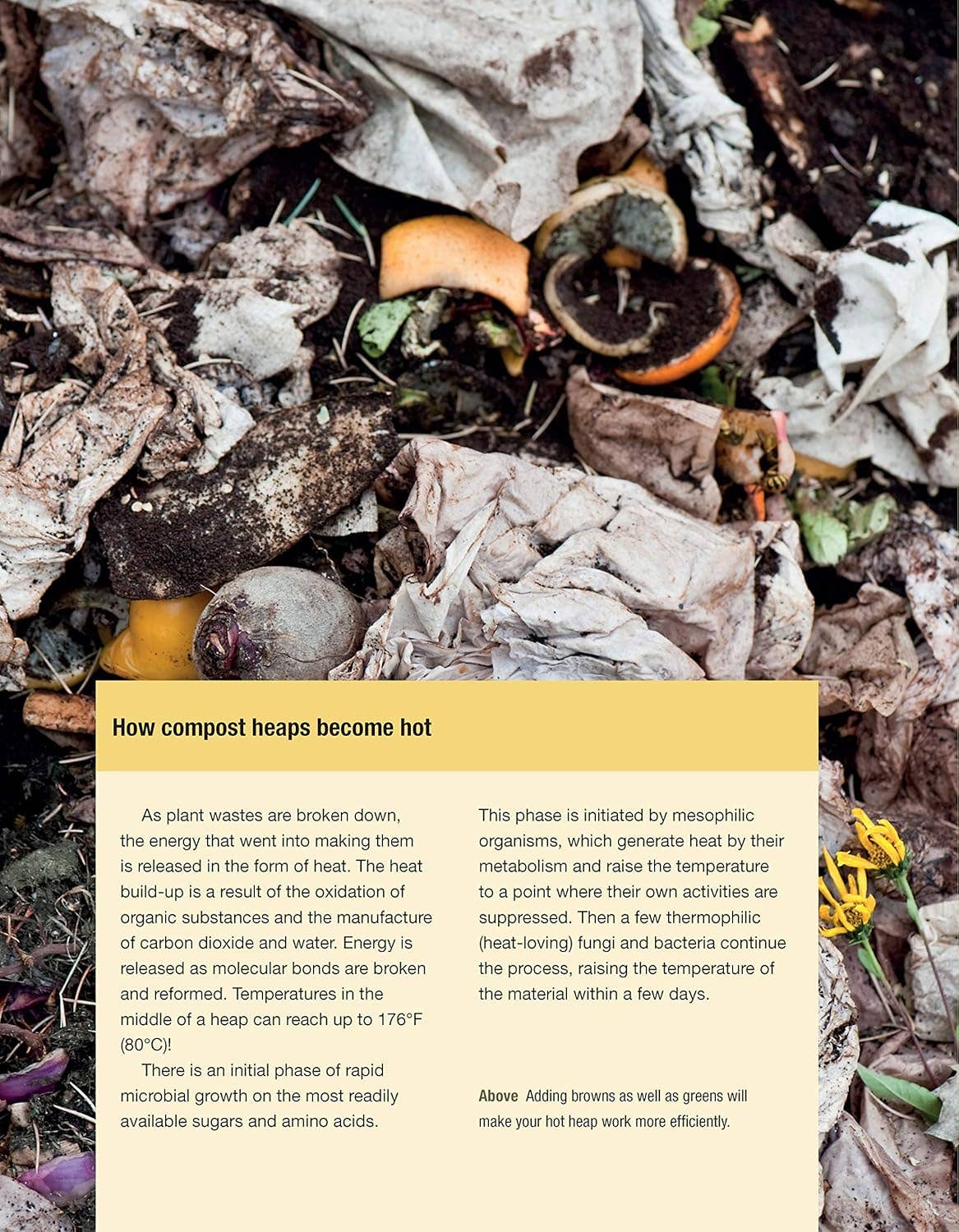 Organic Book of Compost, 2nd Revised Edition-Easy Techniques