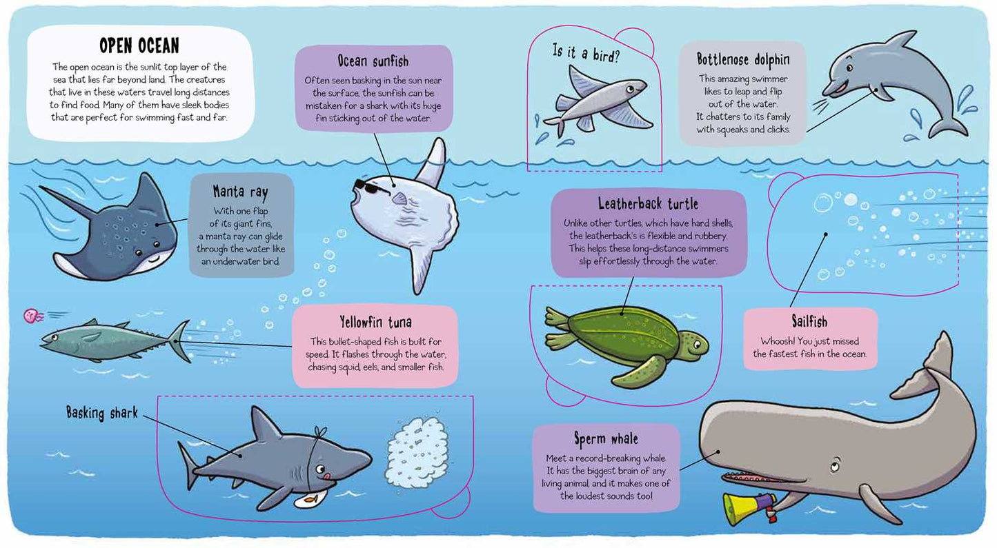 Little Explorers: Under the Sea by Little Bee Books