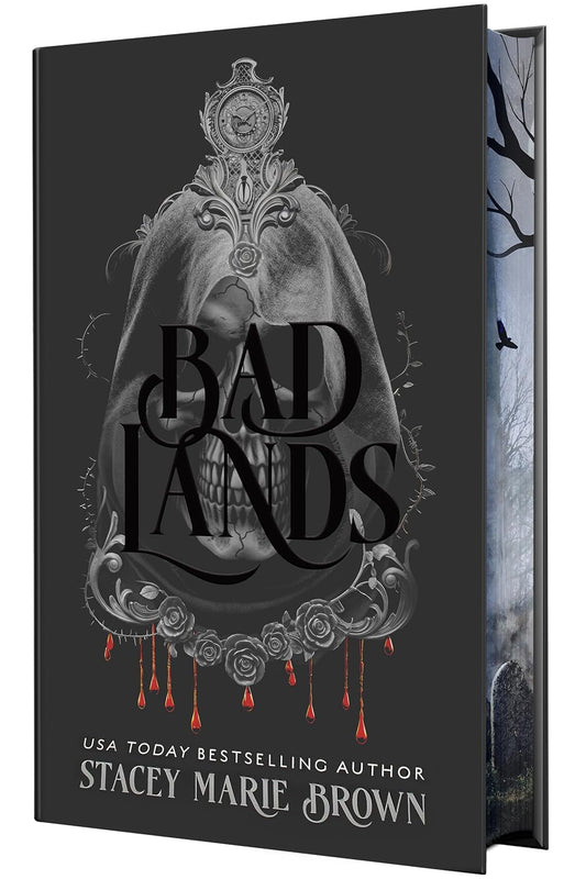 Bad Lands (The Savage Lands Series)