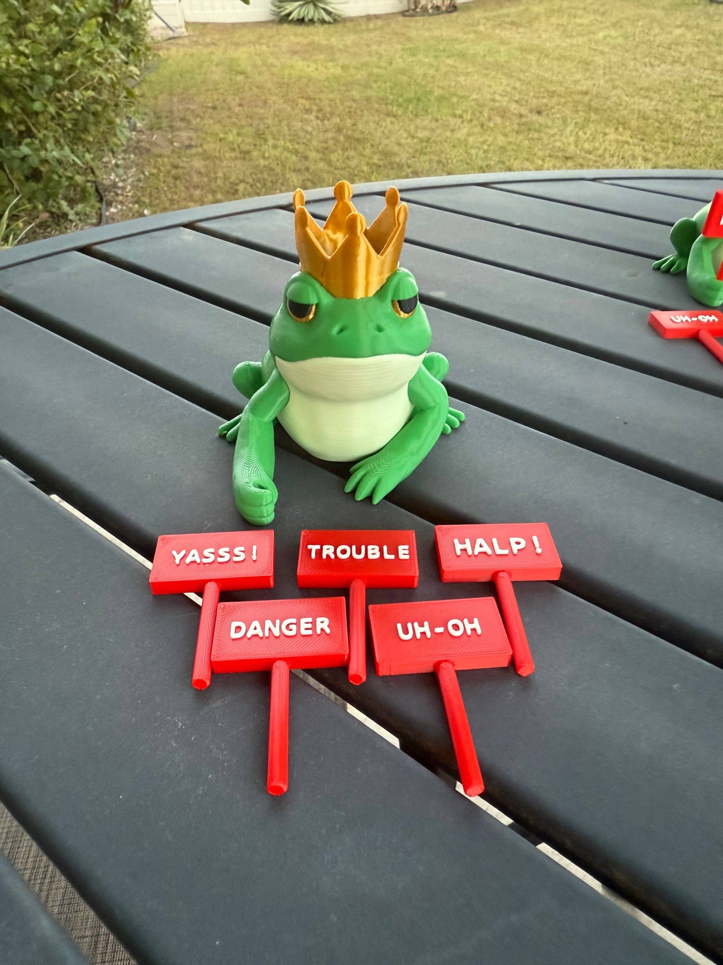 Crowned Frog Bookshelf Decor Interchangeable Signs