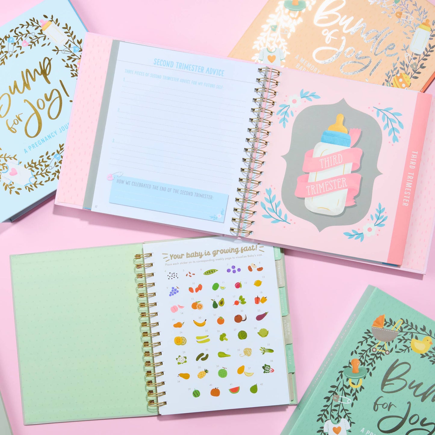 Bump for Joy: A Pregnancy Journal (Pink)