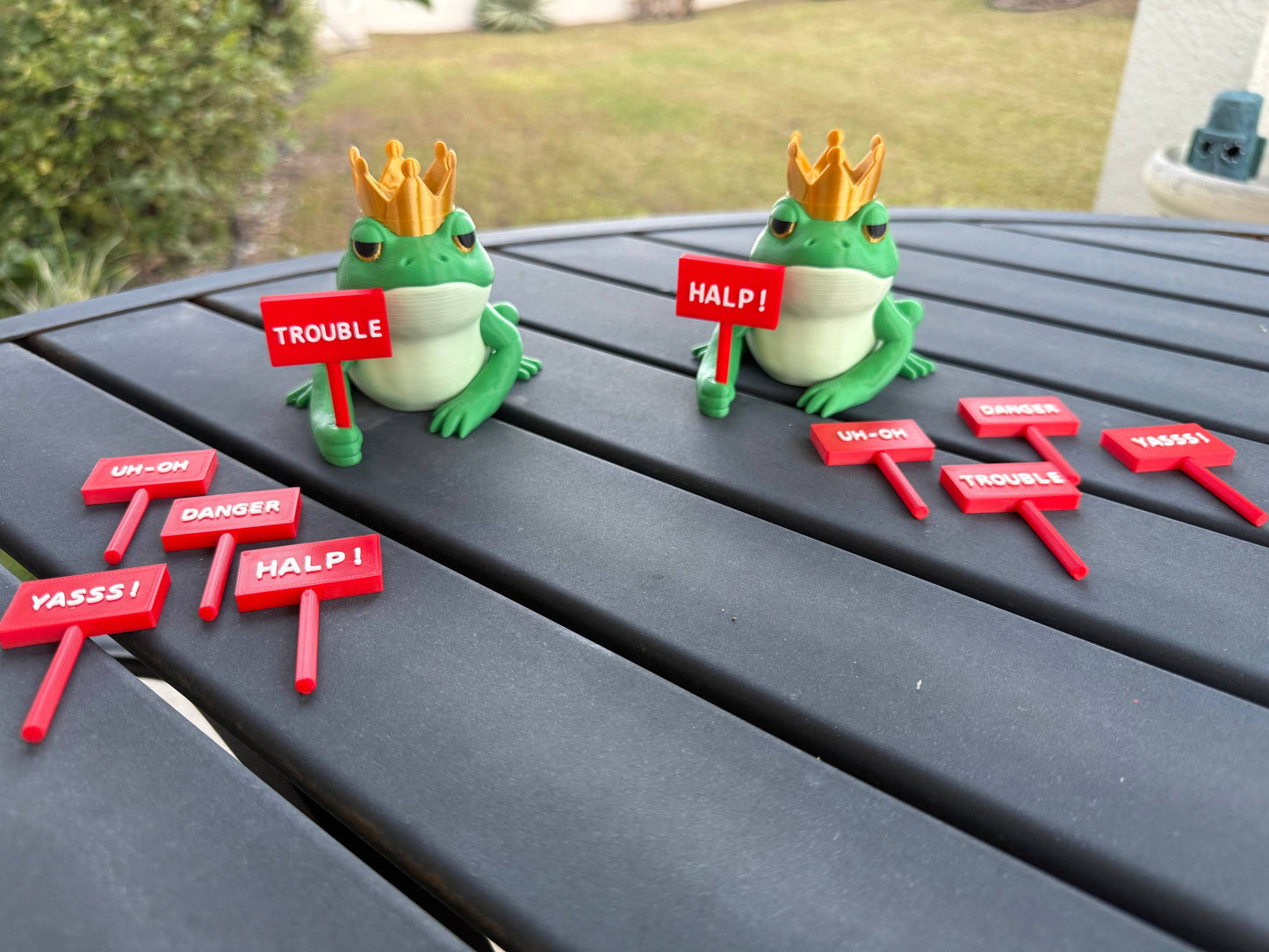 Crowned Frog Bookshelf Decor Interchangeable Signs