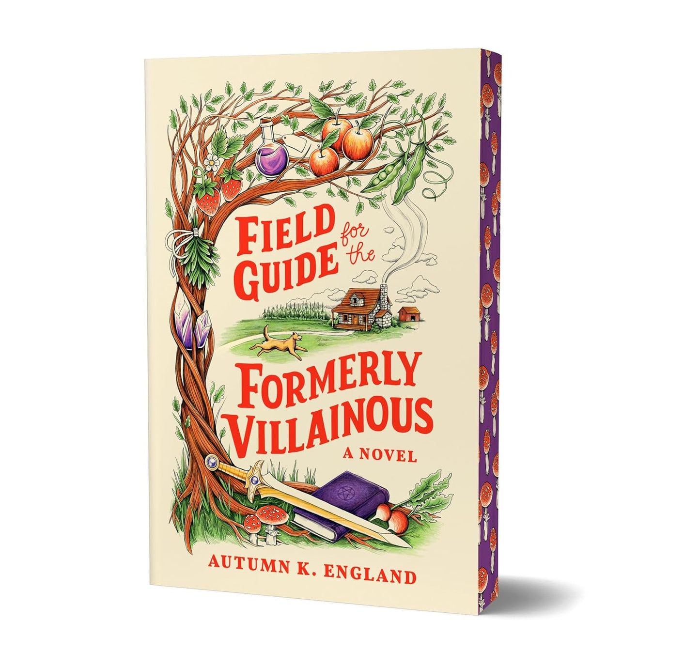 Field Guide for the Formerly Villainous (Deluxe Edition) (Everyday Magic #1)