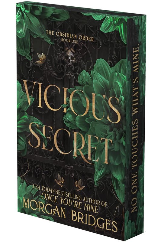 Vicious Secret (The Obsidian Order, 1)