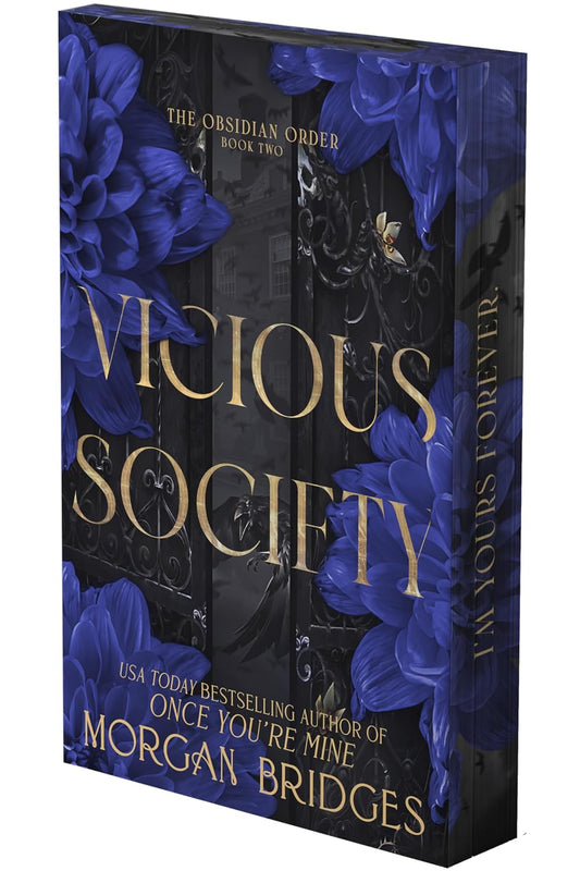 Vicious Society (Obsidian Order #2)